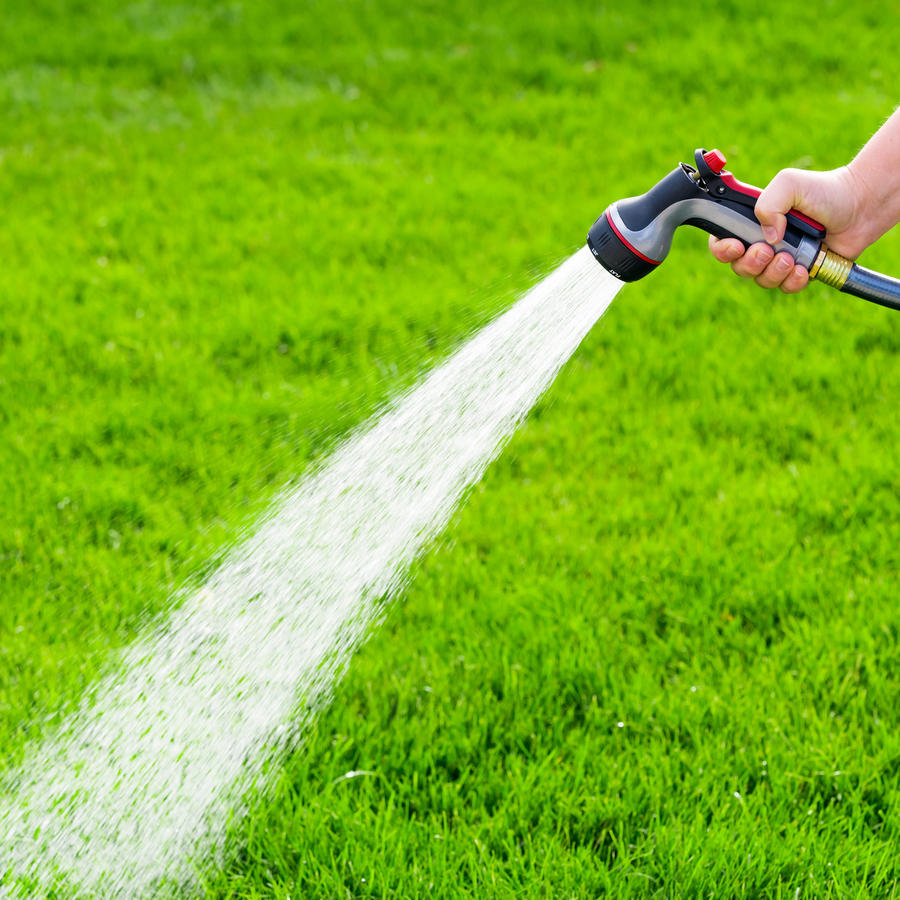 Your Essential Guide to Watering Grass the Right Way (Yes, There is a